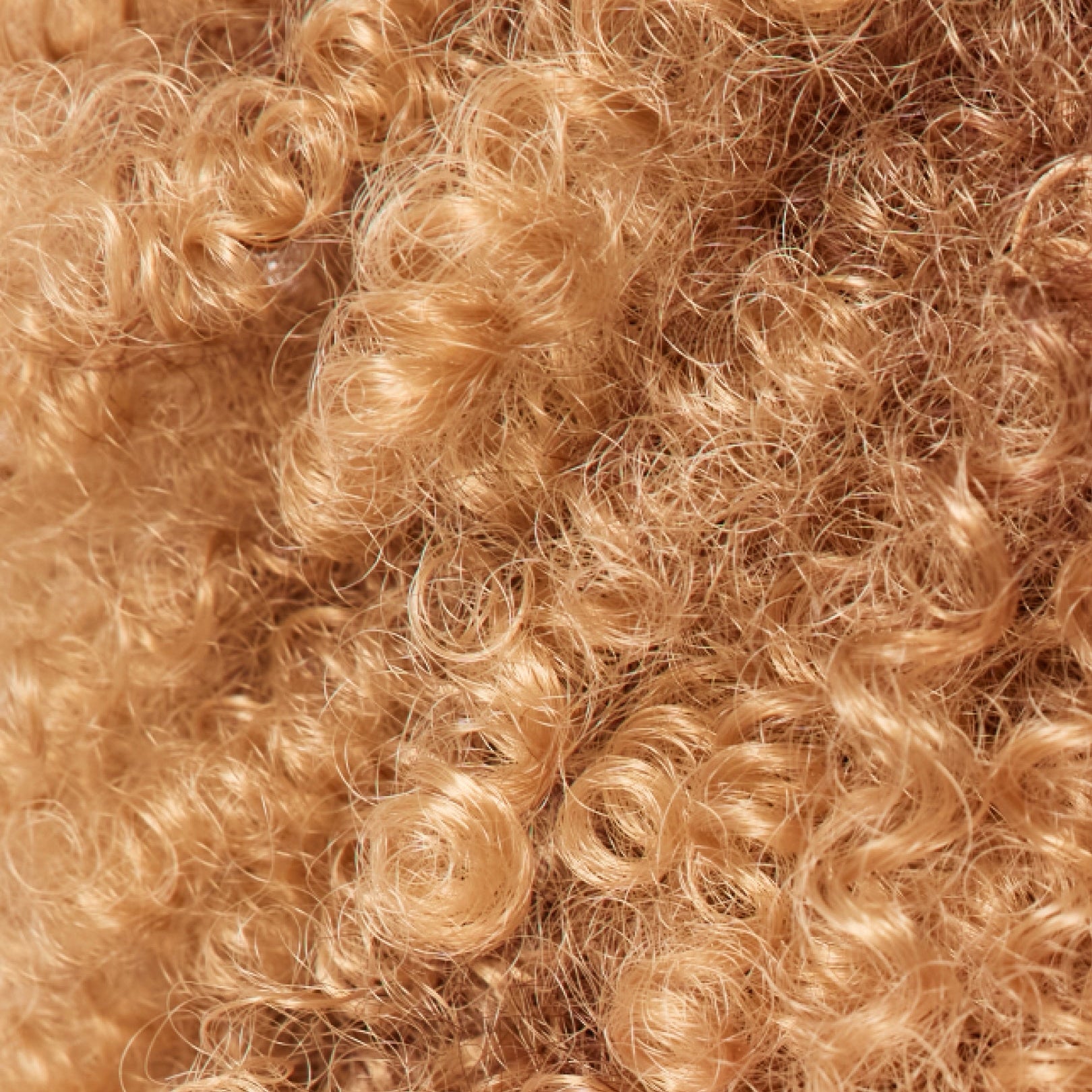 Coily Hair
